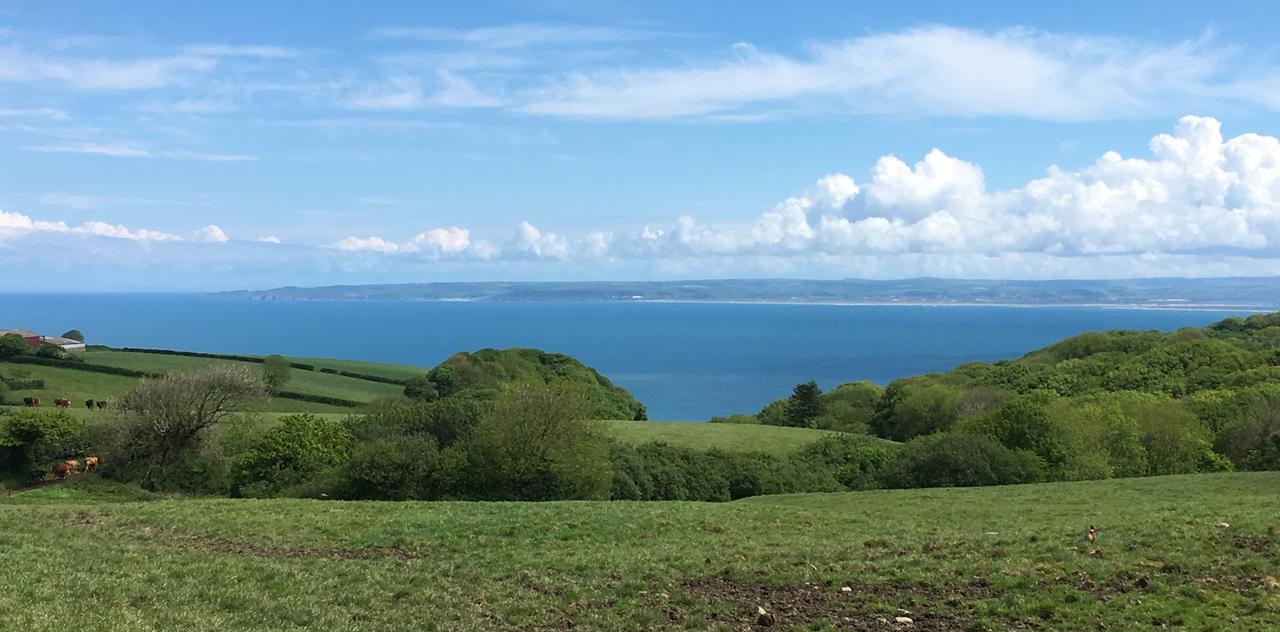 East Dyke Farm B&B Clovelly Exteriér fotografie